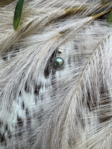 Round Freshwater Pearl Pendant - Blue