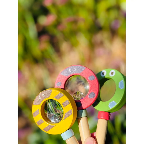Wooden Magnifying Glass-Bee, Frog and Ladybug
