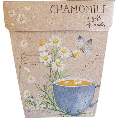 SOW 'N SOW Gift Of Seeds - Chamomile
