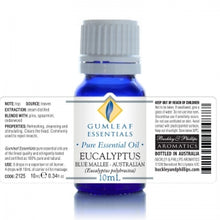 Load image into Gallery viewer, Eucalyptus Blue Mallee Essential Oil
