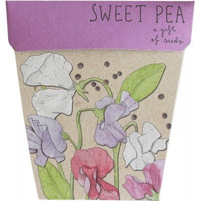 SOW 'N SOW Gift Of Seeds - Sweet Pea