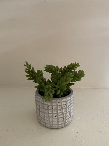 Small Succulent Pot