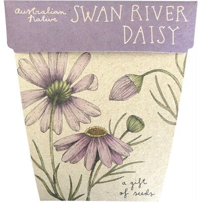 SOW 'N SOW Gift Of Seeds - Swan River Daisy