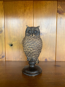 Barnstaple Owl