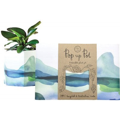 SOW 'N SOW Pop Up Pot  Mountain - Small