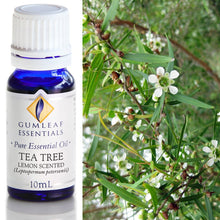 Load image into Gallery viewer, Tea Tree Lemon Scented Essential Oil
