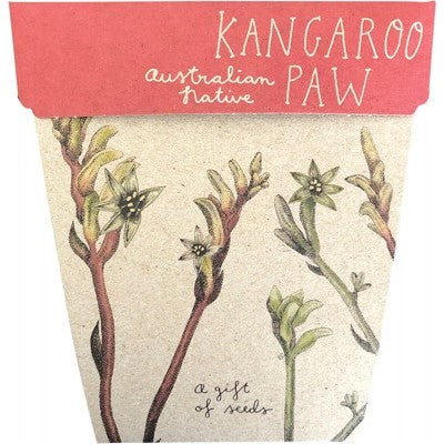 SOW 'N SOW Gift Of Seeds - Kangaroo Paw