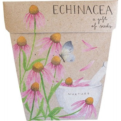 SOW 'N SOW Gift Of Seeds - Echinacea