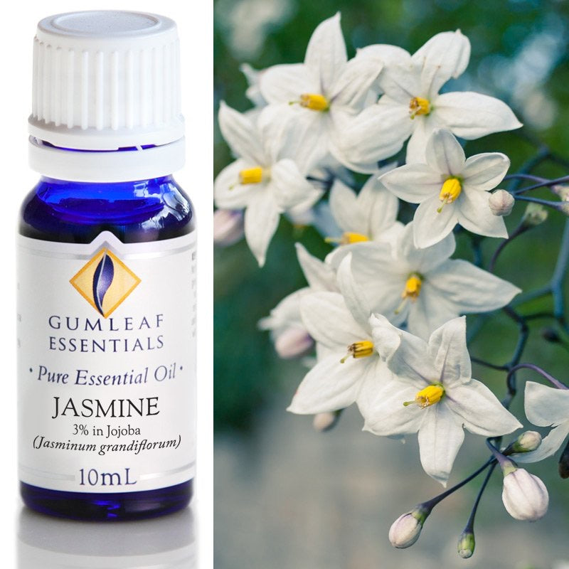 Jasmine (3% In Jojoba) Essential Oil