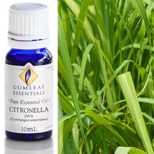 Load image into Gallery viewer, Citronella Java Essential Oil