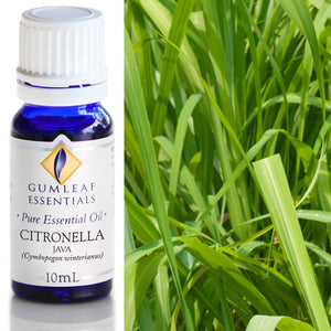 Citronella Java Essential Oil