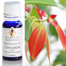 Load image into Gallery viewer, Cinnamon Leaf Essential Oil