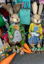 Load image into Gallery viewer, MR and MRS BROWN BUNNIES