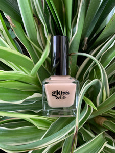 Gloss & Co - Shell