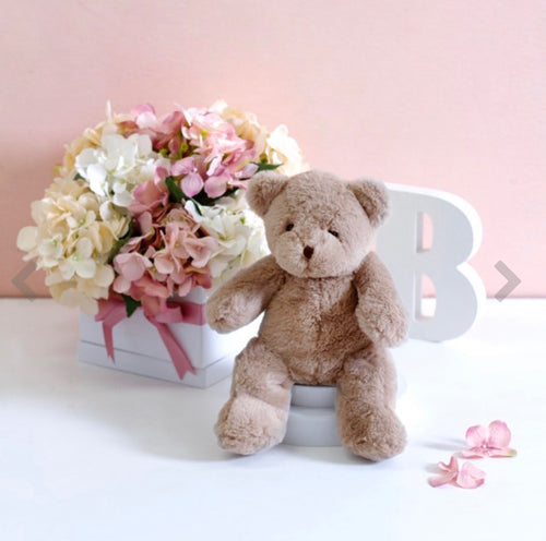 Alex Teddy Bear Brown (20cmST)