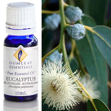 Load image into Gallery viewer, Eucalyptus Blue Mallee Essential Oil
